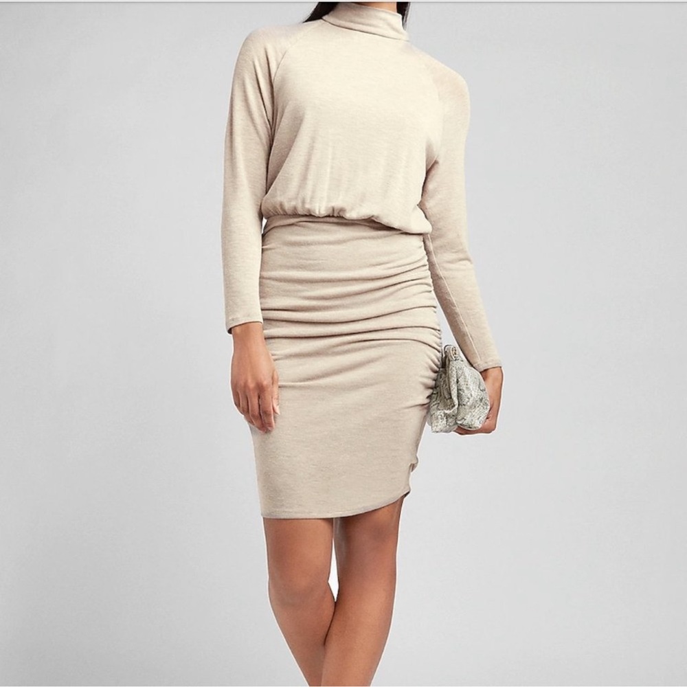 Express Taupe Knit Top